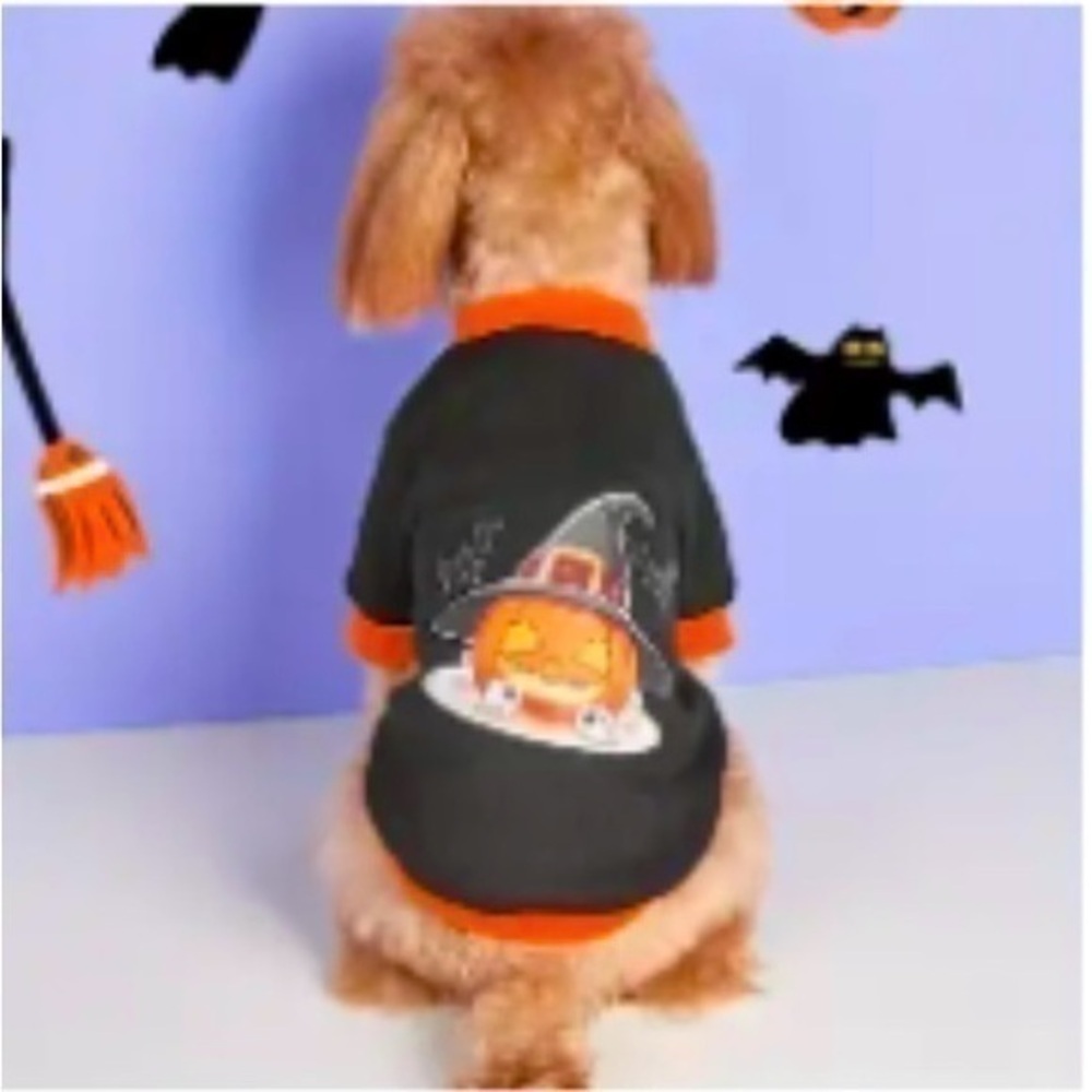 Halloween Pumpkin Witch Dog Sweater XXL